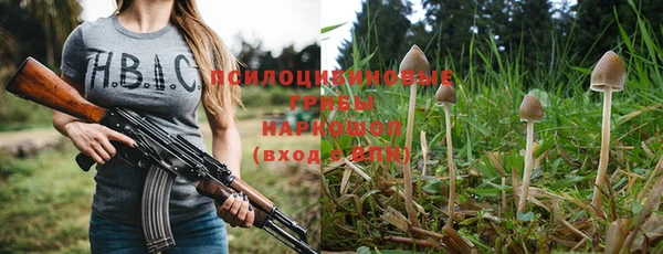 СК Аркадак