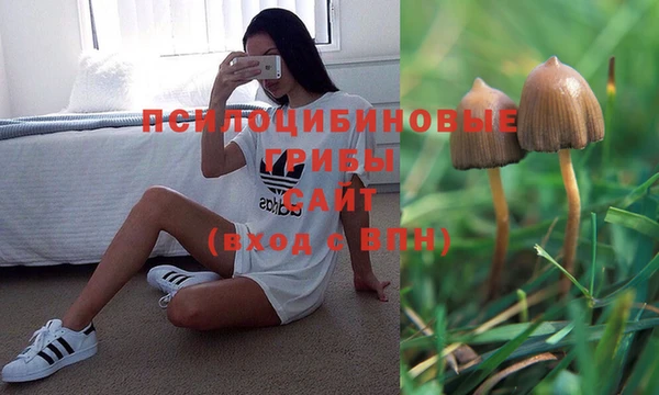 jwh Алзамай