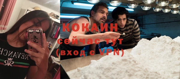 СК Аркадак