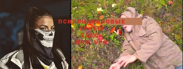 мяу мяу мука Арсеньев