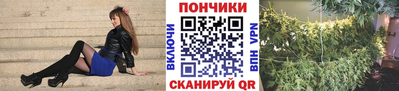 Бошки марихуана конопля  Тавда 